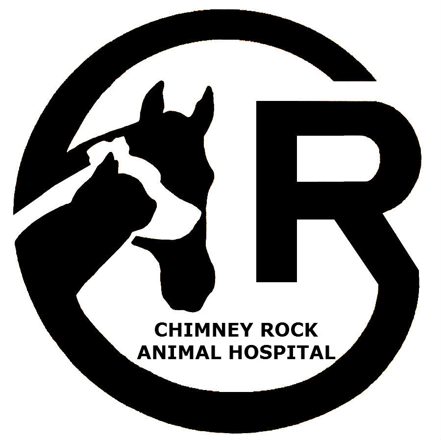 Chimney Rock Animal Hospital