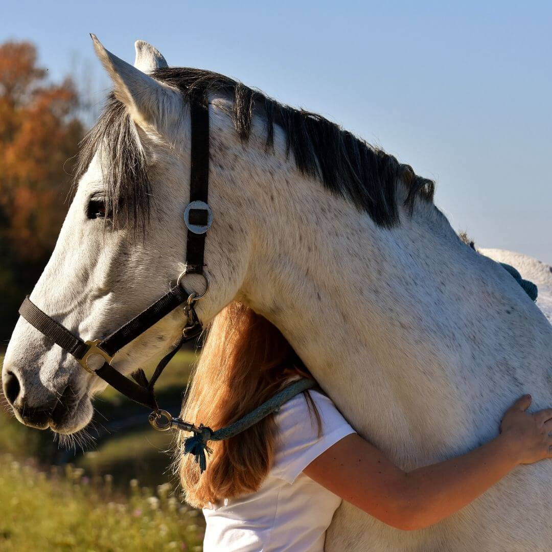 girl hugging horse